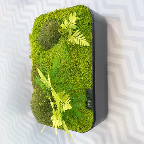 MyBox is design and functionality in one