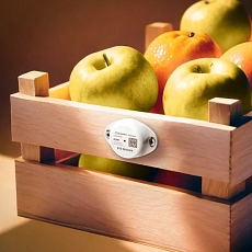 Teltonika Eye Sensor EN12830 for temperature monit